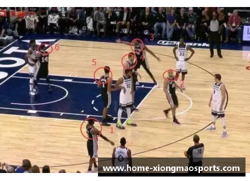 NBA高清回放录像：精彩瞬间再现，全程高清无广告享受