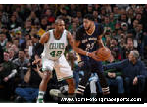 新生力量崛起！鹈鹕黄蜂成为NBA焦点