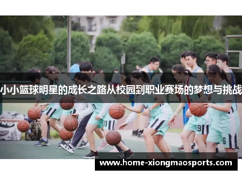 小小篮球明星的成长之路从校园到职业赛场的梦想与挑战