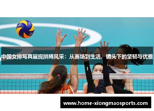 中国女排写真展现拼搏风采：从赛场到生活，镜头下的坚韧与优雅