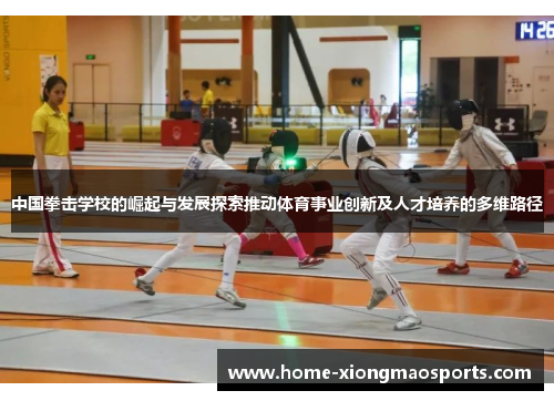 中国拳击学校的崛起与发展探索推动体育事业创新及人才培养的多维路径