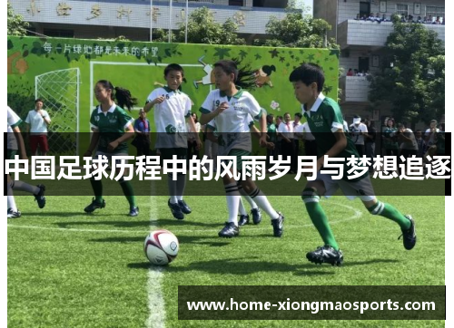 中国足球历程中的风雨岁月与梦想追逐